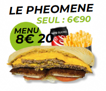 Le Phénomène