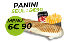 Panini